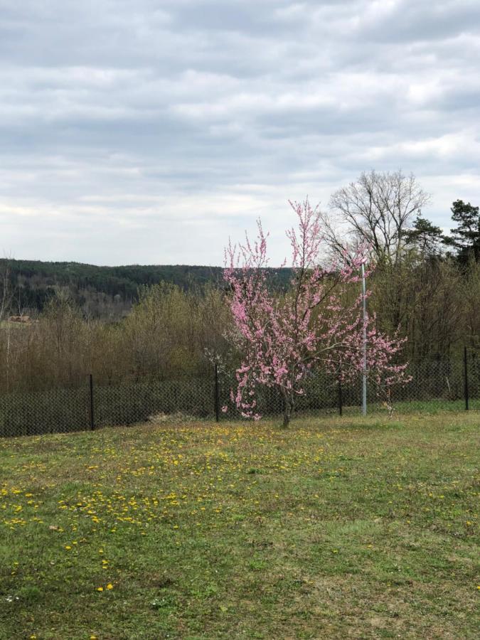 Landhaus Suedburgenland Villa Olbendorf Dış mekan fotoğraf